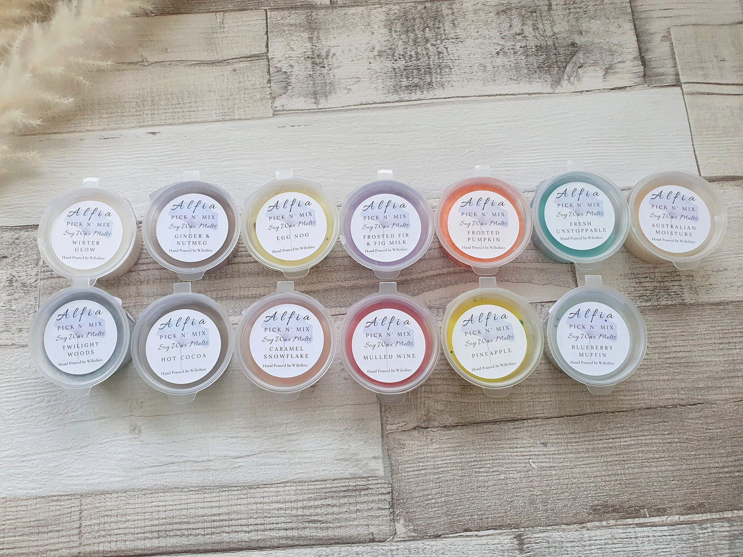 Sample Pot - Alfia