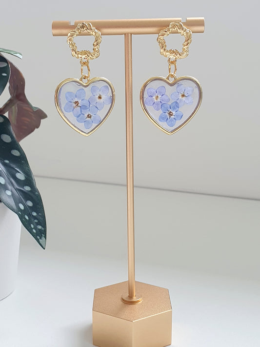 "For Get Me Not" Real Flower Heart Resin Earrings - Alfia